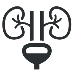 categories-icon-1