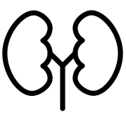 categories-icon-1